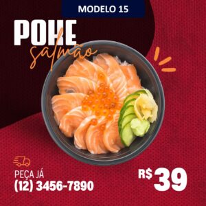 Modelo (15)