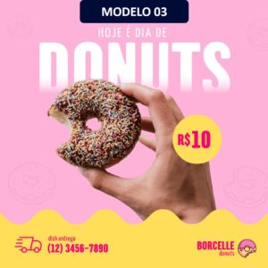 Modelo (3)