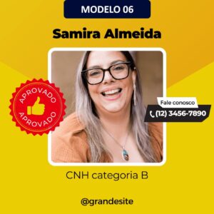 Modelo (6)